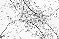 /album/vyberte-si-/malovane-vetrem-jpg/